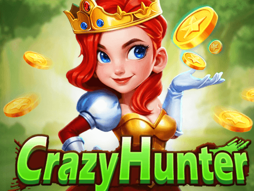Crazy Hunter game cover